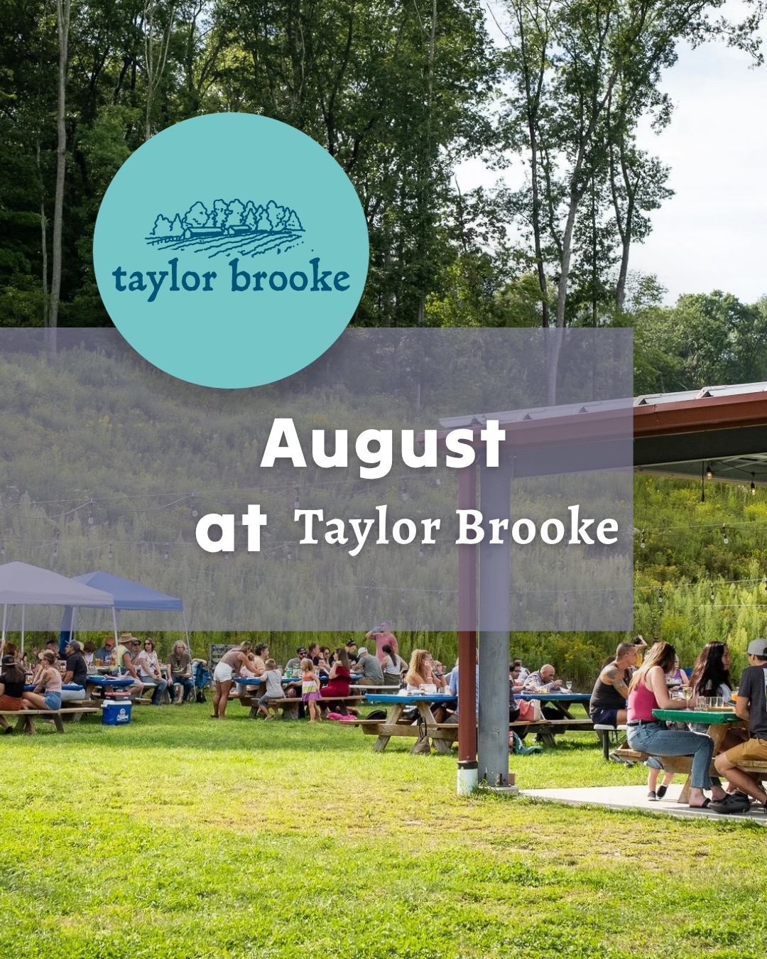 Plan your next visit to Taylor Brooke! 🍷🍻
August is packed with exciting events and upcoming releases for you and your crew to enjoy. Stay connected by visiting our website to register for workshops, place to-go orders, and keep up with everything happening at Taylor Brooke.
Share this post with your friends, start planning your next visit, and we'll see you soon. Cheers!
#taylorbrookewinery #ctwine #taylorbrookebrewery #ctbeer #upcomingevents #ctlivemusic #winerelease #beerrelease #taylorbrookeexperience #quietcornerct #woodstockct #discoverputnam #discovercentralmass #rhodeisland #westchesterny #bostonmass #springfieldma #worcesterma